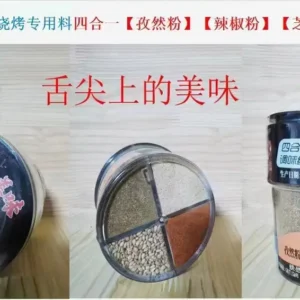 BBQ Seasoning 02-4-in-1-02